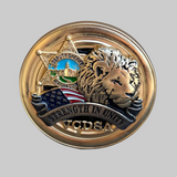 Challenge Coin 3D VCDSA