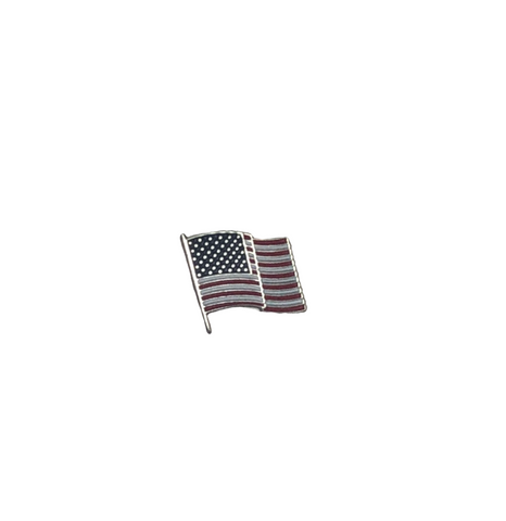 Pin: American Flag 3/8 with two posts