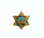 Pin: Ventura County Deputy Sheriff 3/4cm Badge